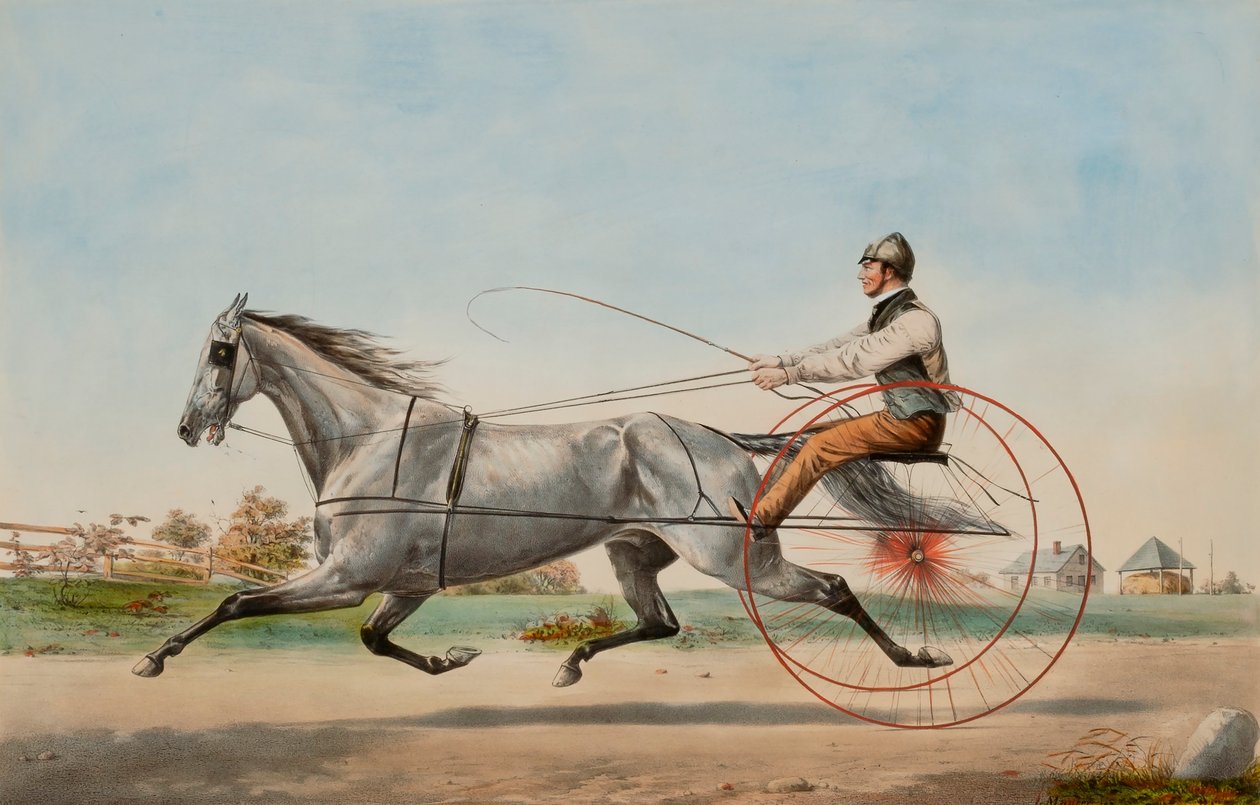 Eddy Gris de Nathaniel Currier