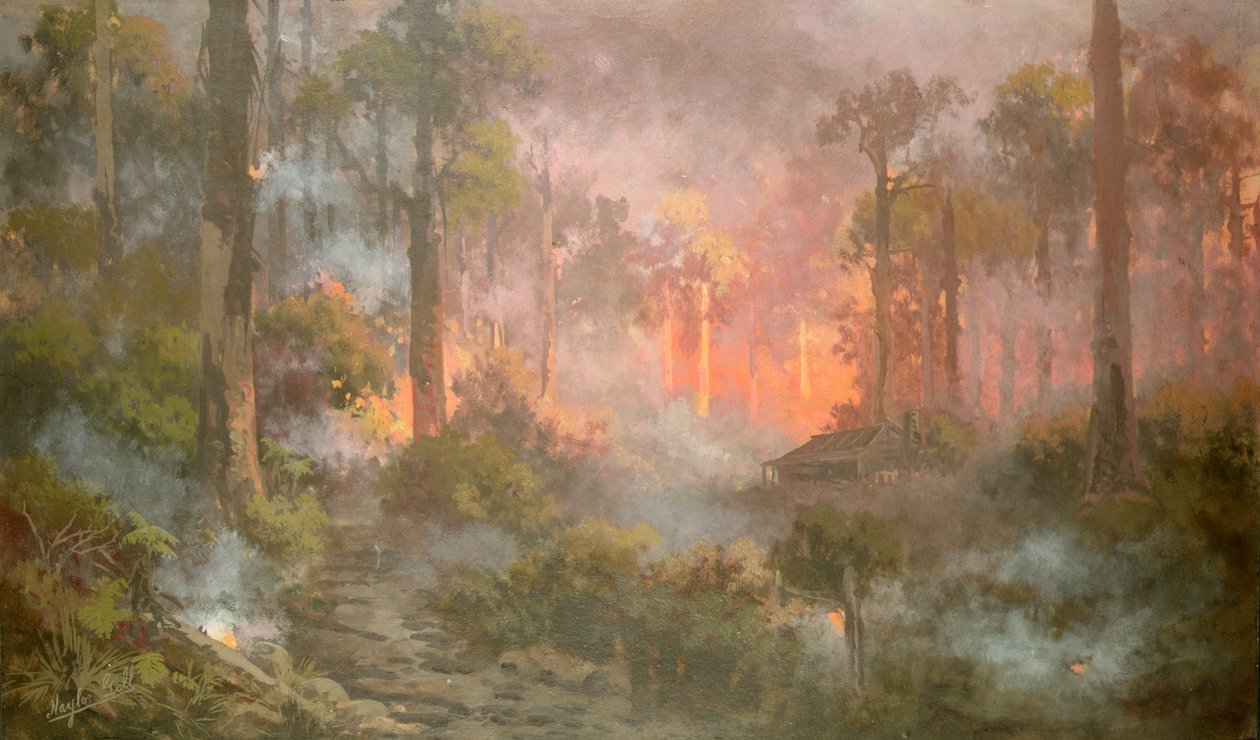 Incendio forestal de Naylor Gill