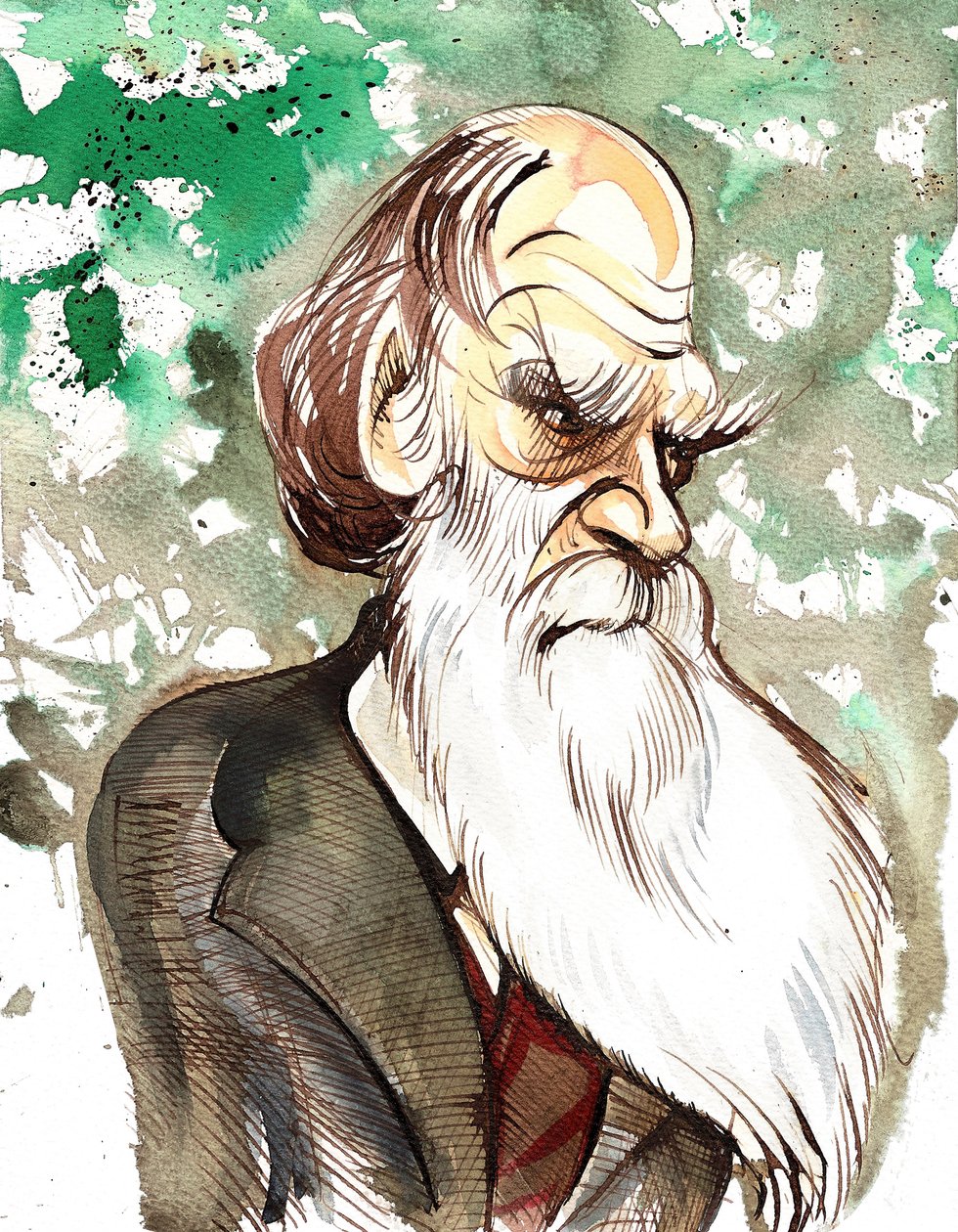 Charles Darwin (naturalista y escritor inglés, 1809-82) caricatura de Neale Osborne