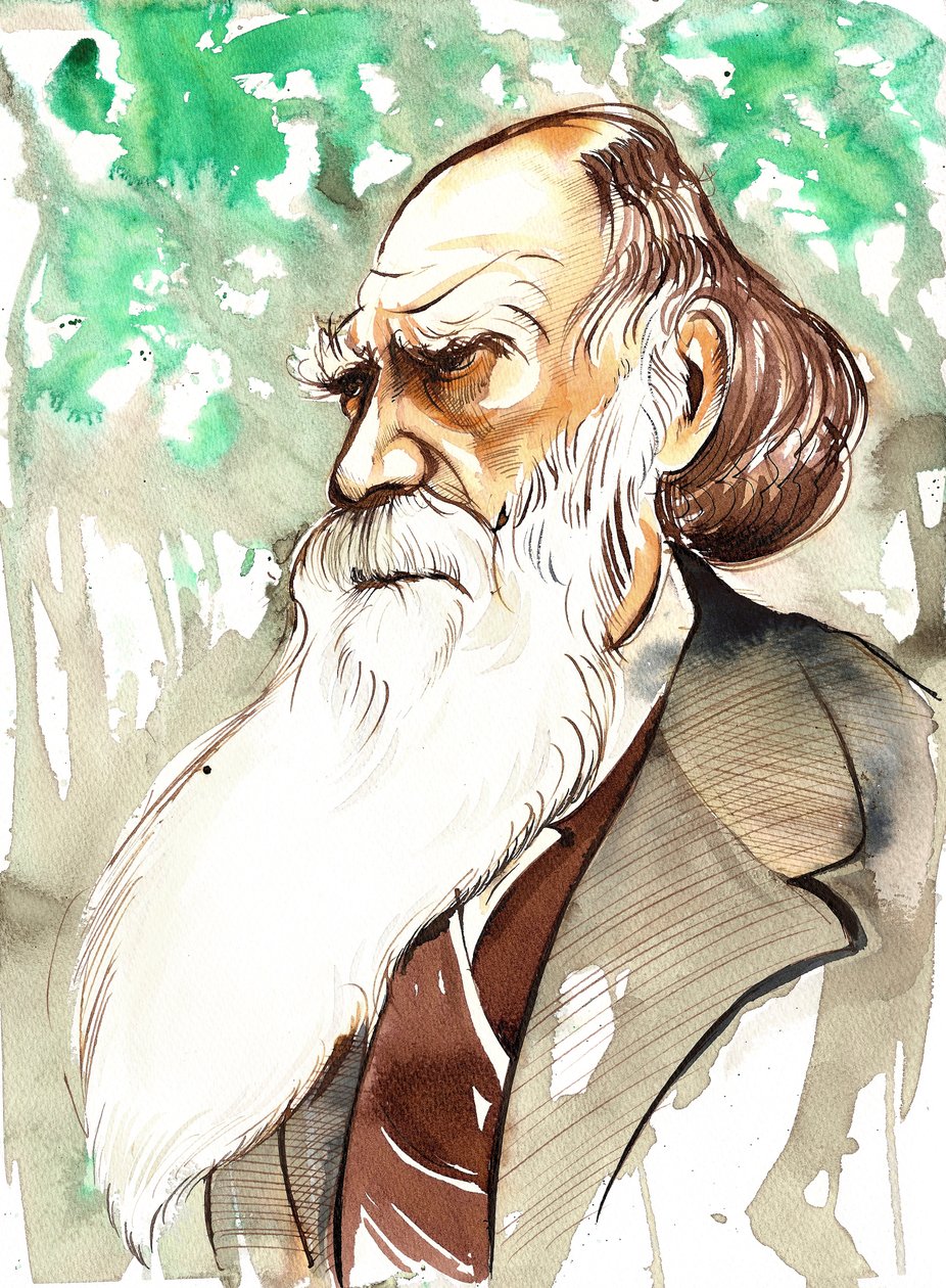 Charles Darwin (naturalista y escritor inglés, 1809-82) retrato de Neale Osborne