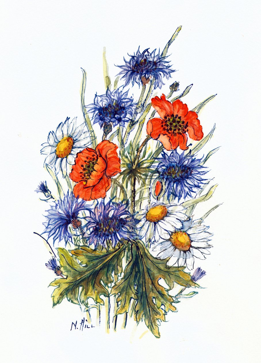 Aciano, amapola y margarita de ojo de buey de Nell Hill
