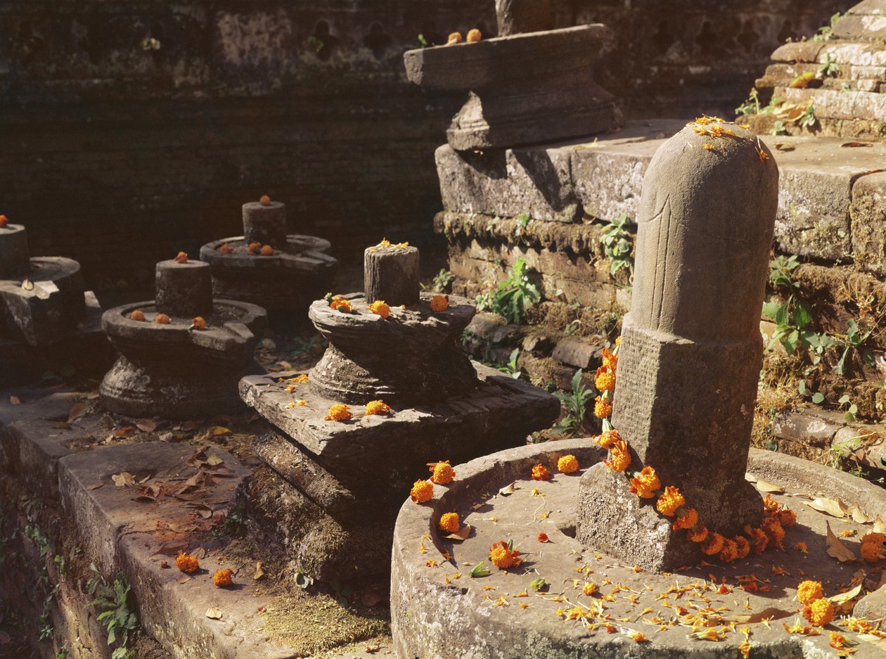 Shiva lingams en el Templo Pashupatinah de Nepalese School