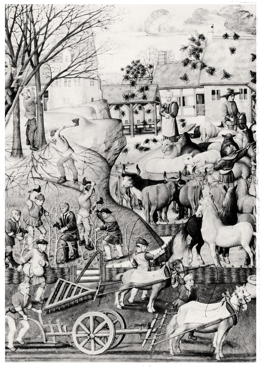 Arando de Netherlandish School