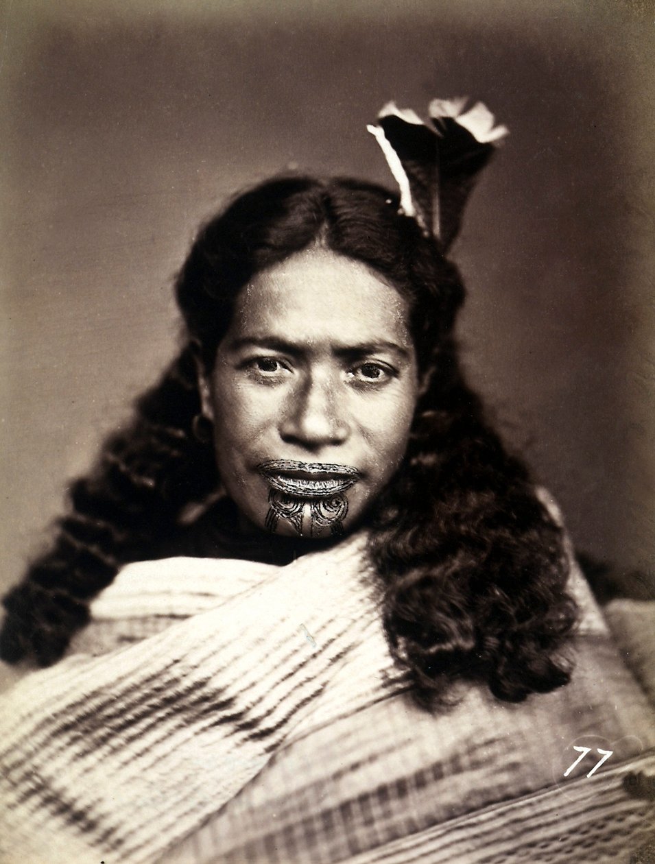 Retrato de un maorí con la cara tatuada, c.1886-88 de New Zealand Photographer