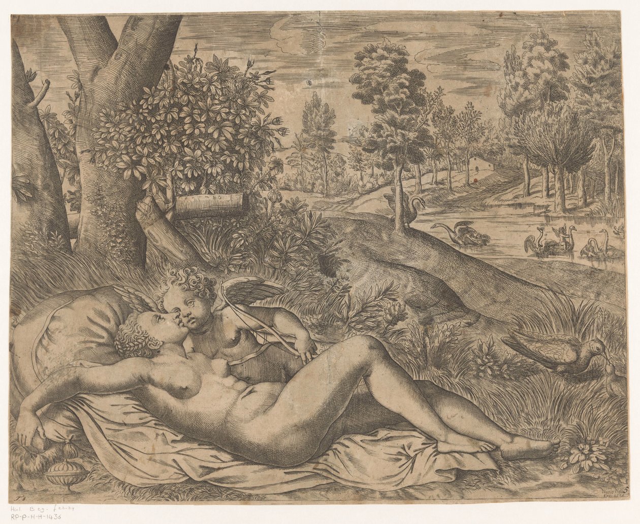 Venus en Amor de Niccolò Nelli