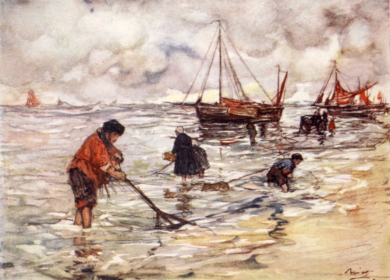 Pesca de camarones de Nico Jungman