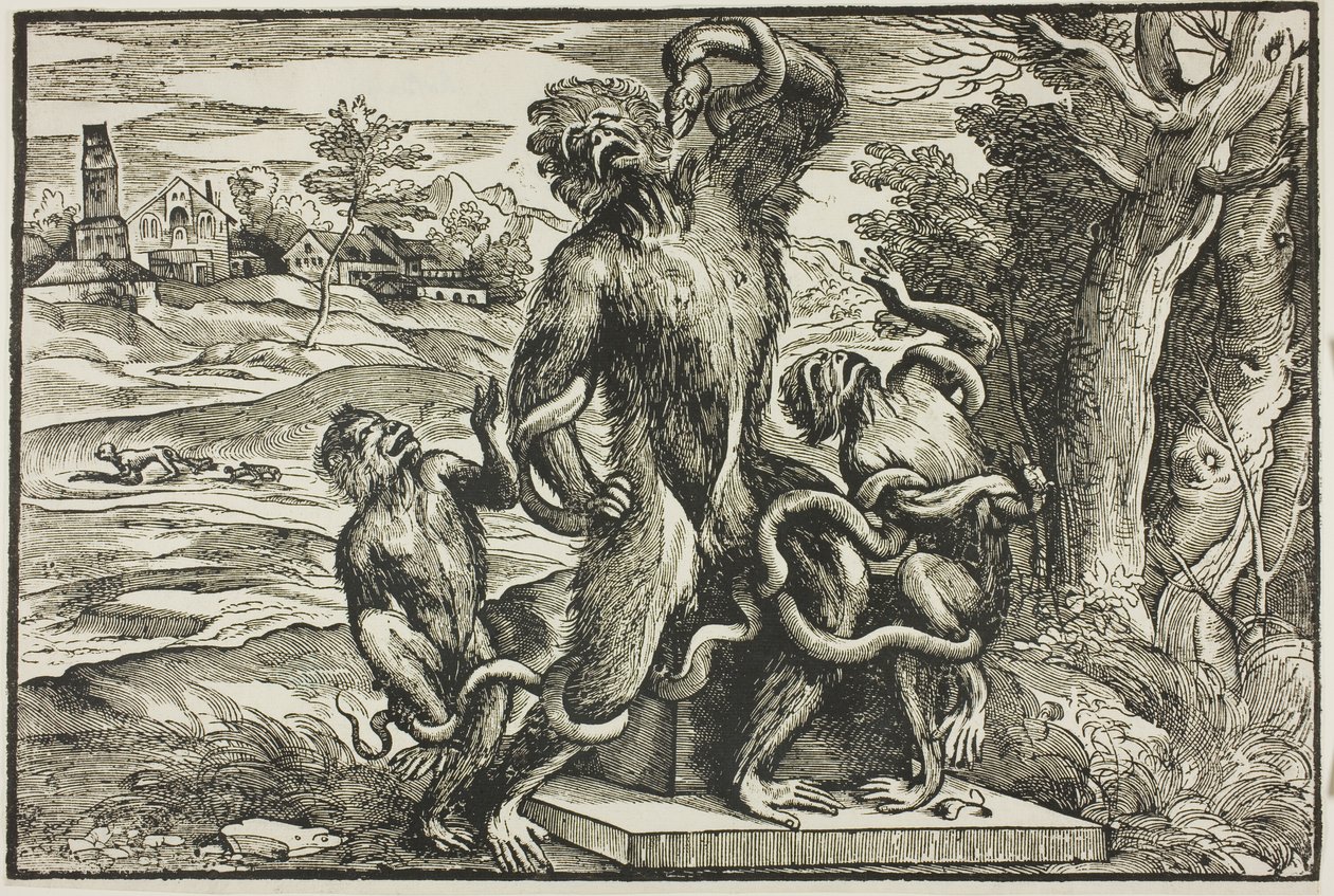 Laocoonte de Nicolò Boldrini