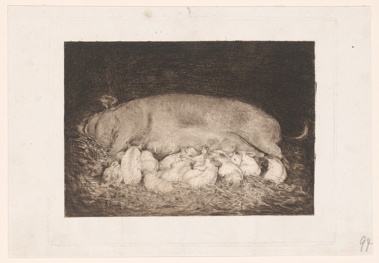 Cerda con lechones de Nicolaas van der Waay