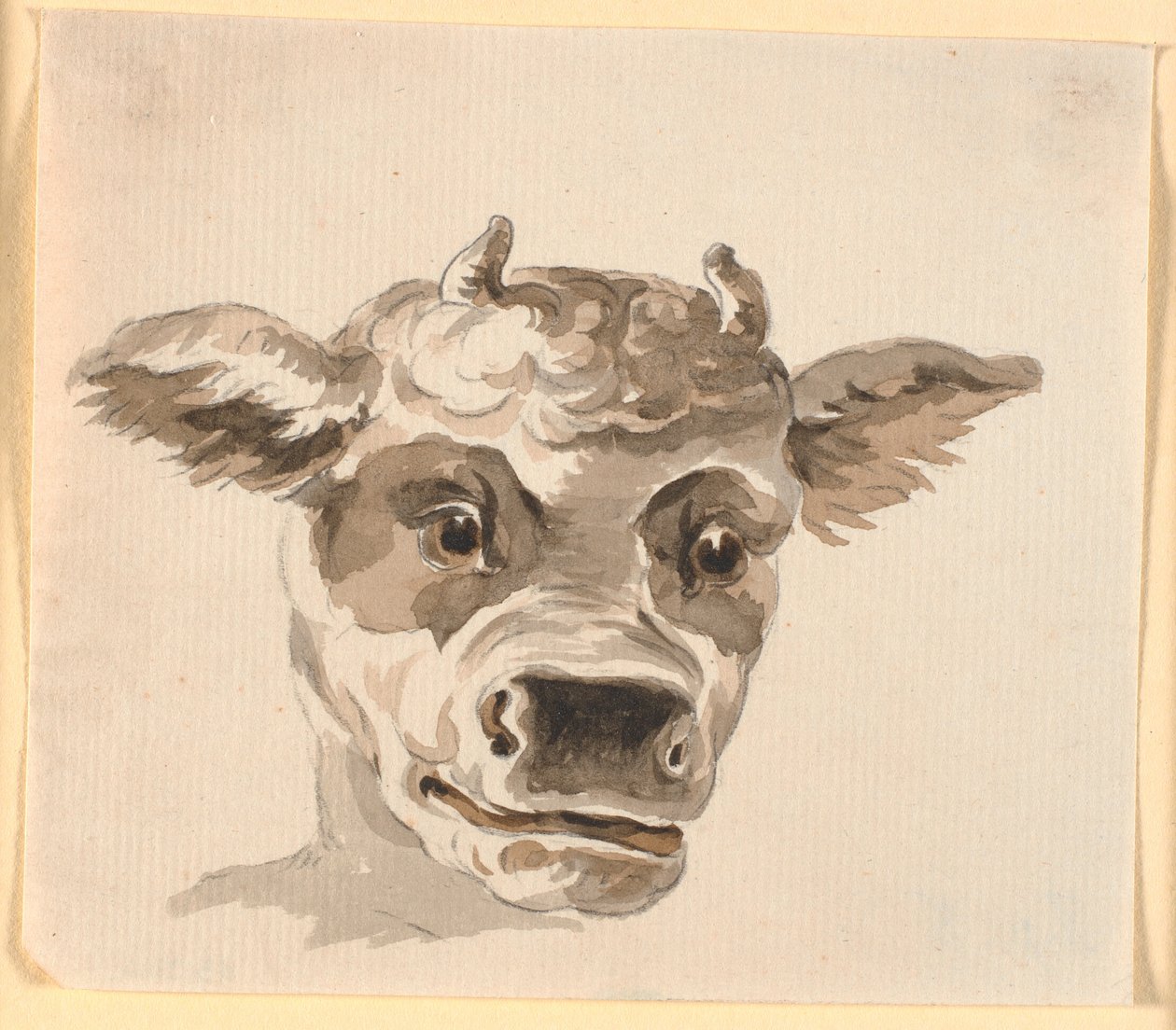 Cabeza de Minotauro de Nicolai Abildgaard