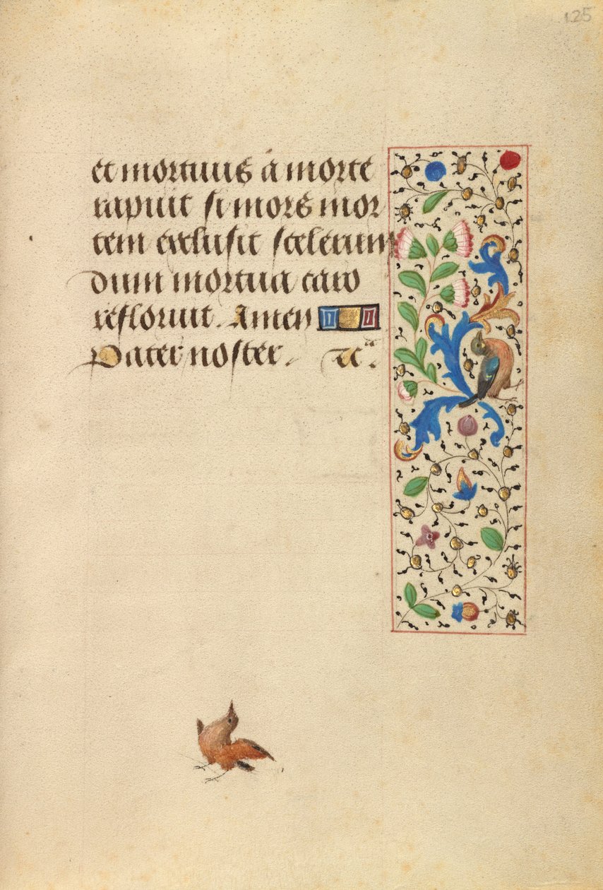 Página de texto decorada de Nicolas Spierinc