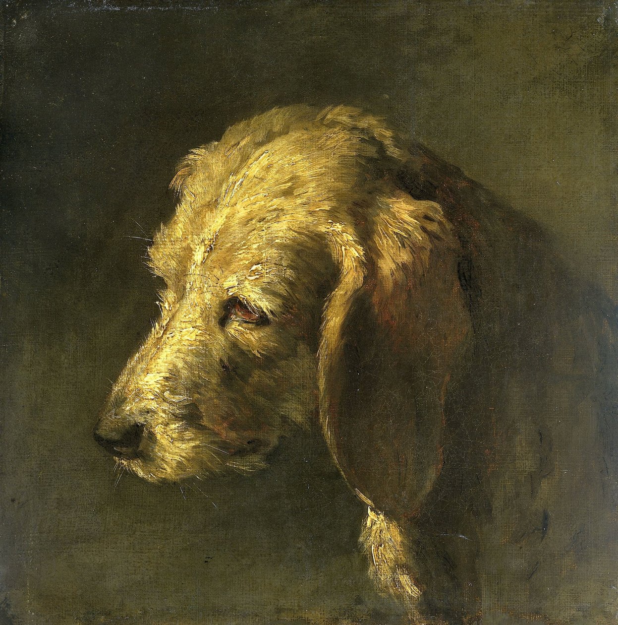 Cabeza de perro de Nicolas Toussaint Charlet (attributed to)