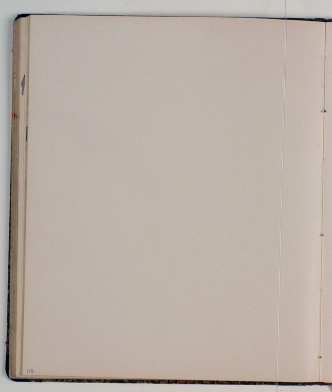 En blanco de Niels Larsen Stevns