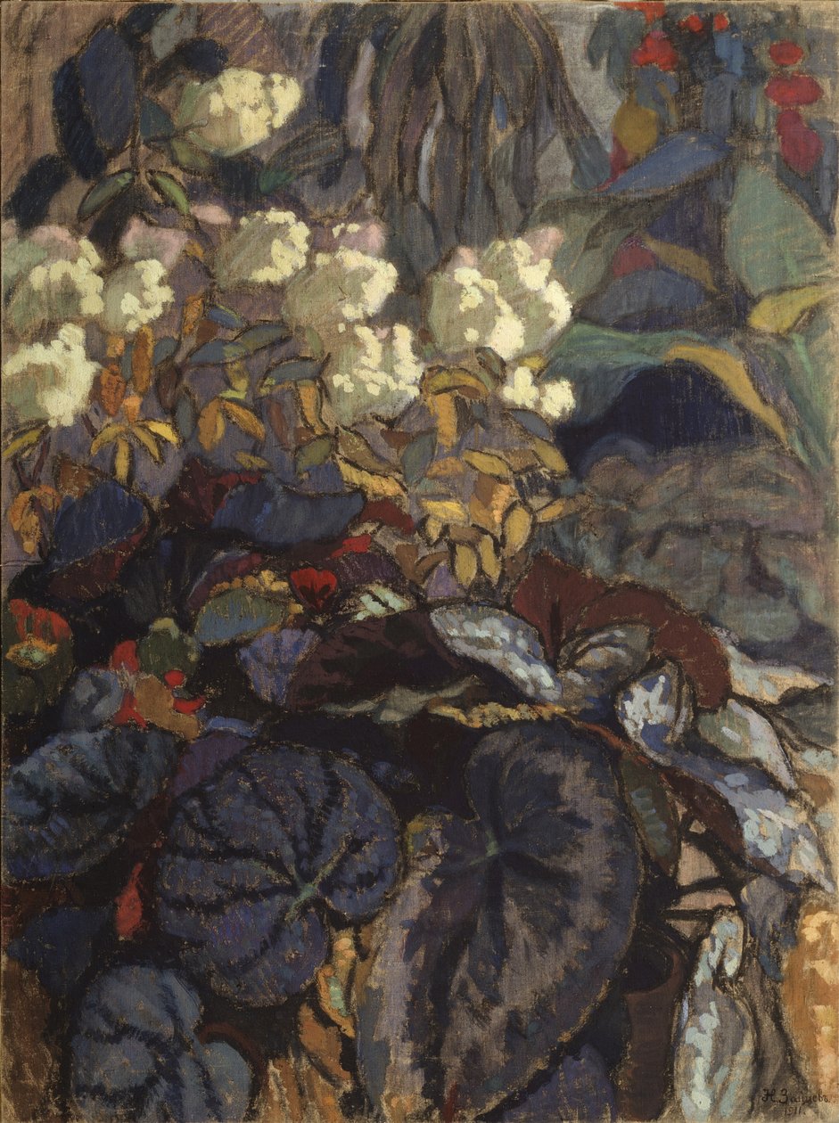 Flores de Nikolai Semyonovich Zaytsev