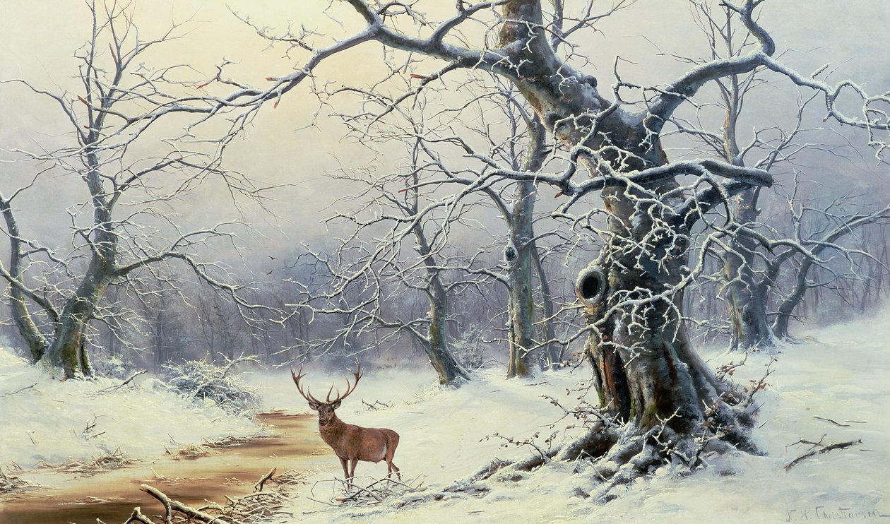 Imagen desconocida de Nils Hans Christiansen