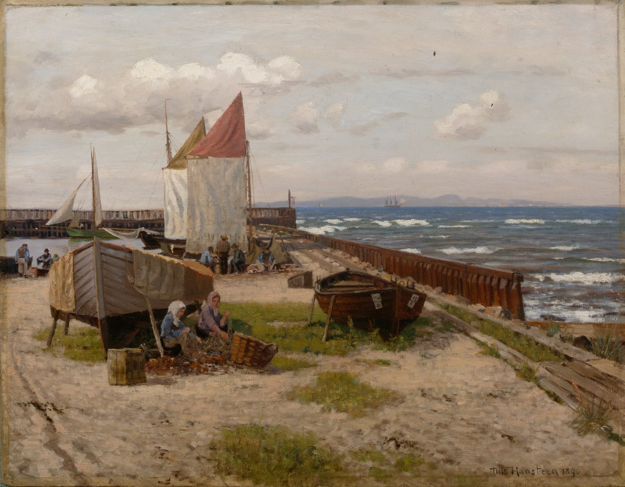 Por la costa de Nils Hansteen
