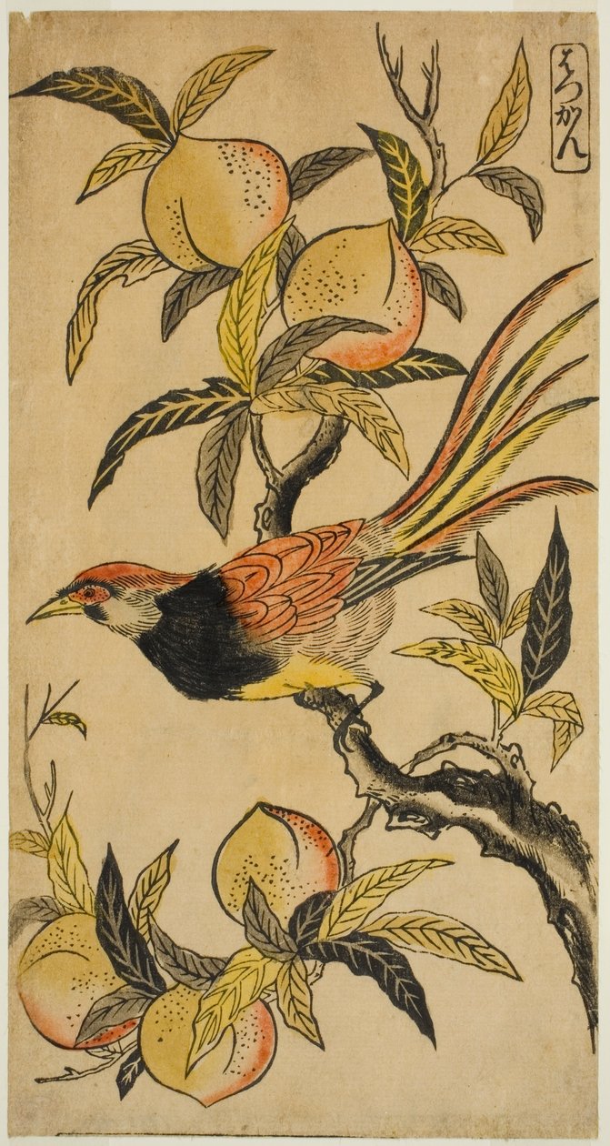 Faisán Plateado de Nishimura Shigenaga