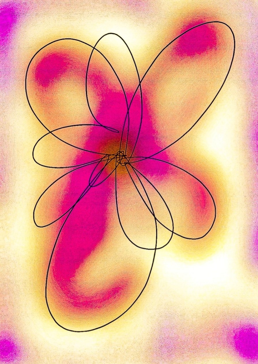 Blume de Nomi Morina