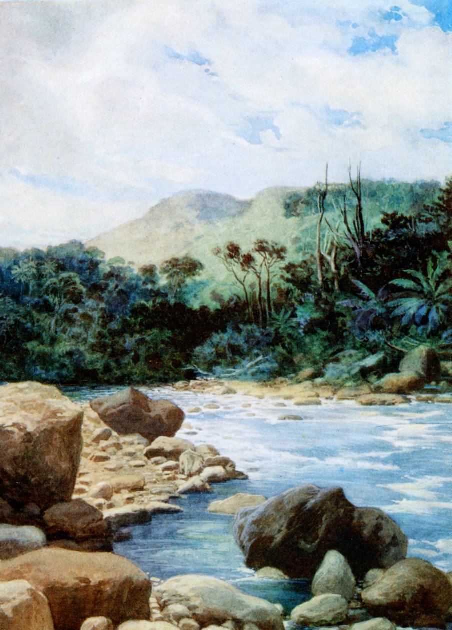 Paisaje en Eromanga, Nuevas Hébridas, 1908 de Norman Hardy