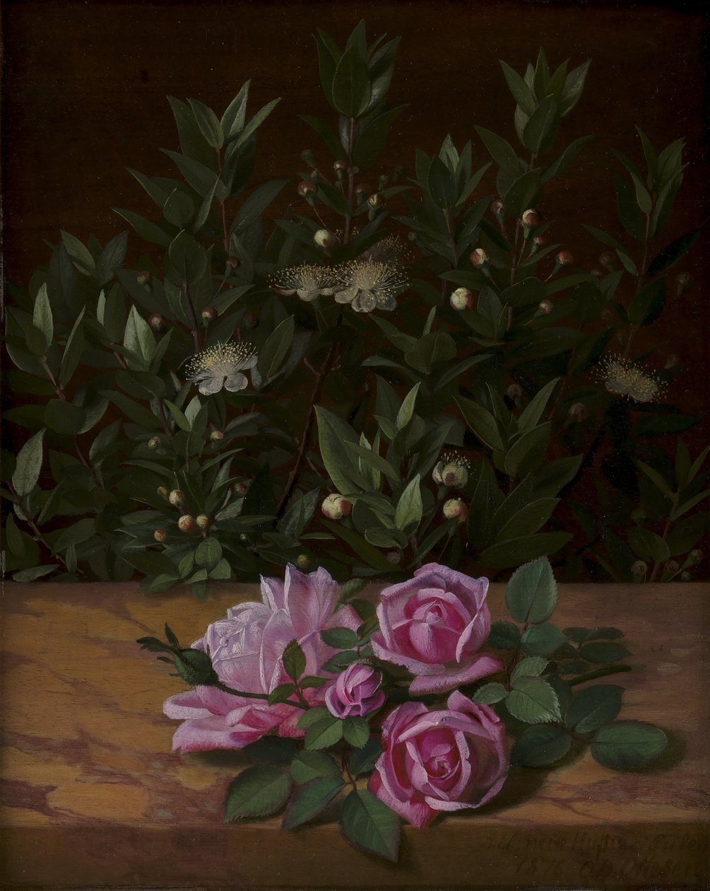Rosas y mirtos de O.D. Ottesen
