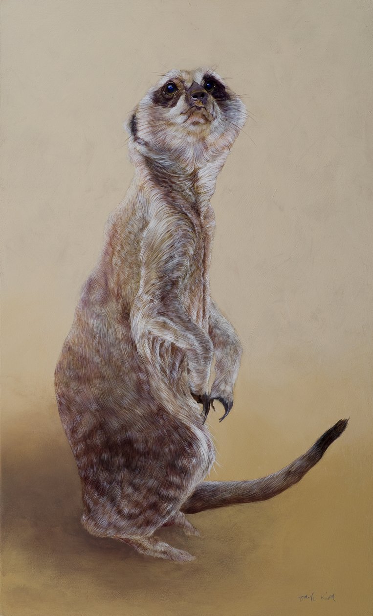 Suricata 2, 2010 (acrílico sobre madera) de Odile Kidd
