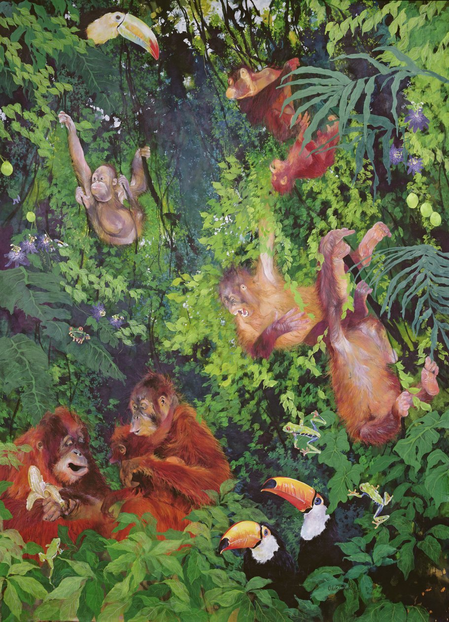 Orangutanes y tucanes de Odile Kidd