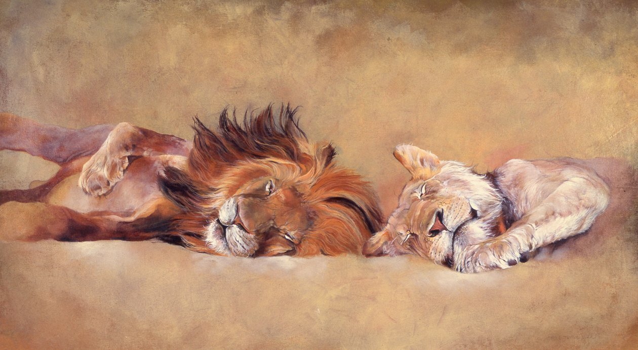 Siesta de Odile Kidd