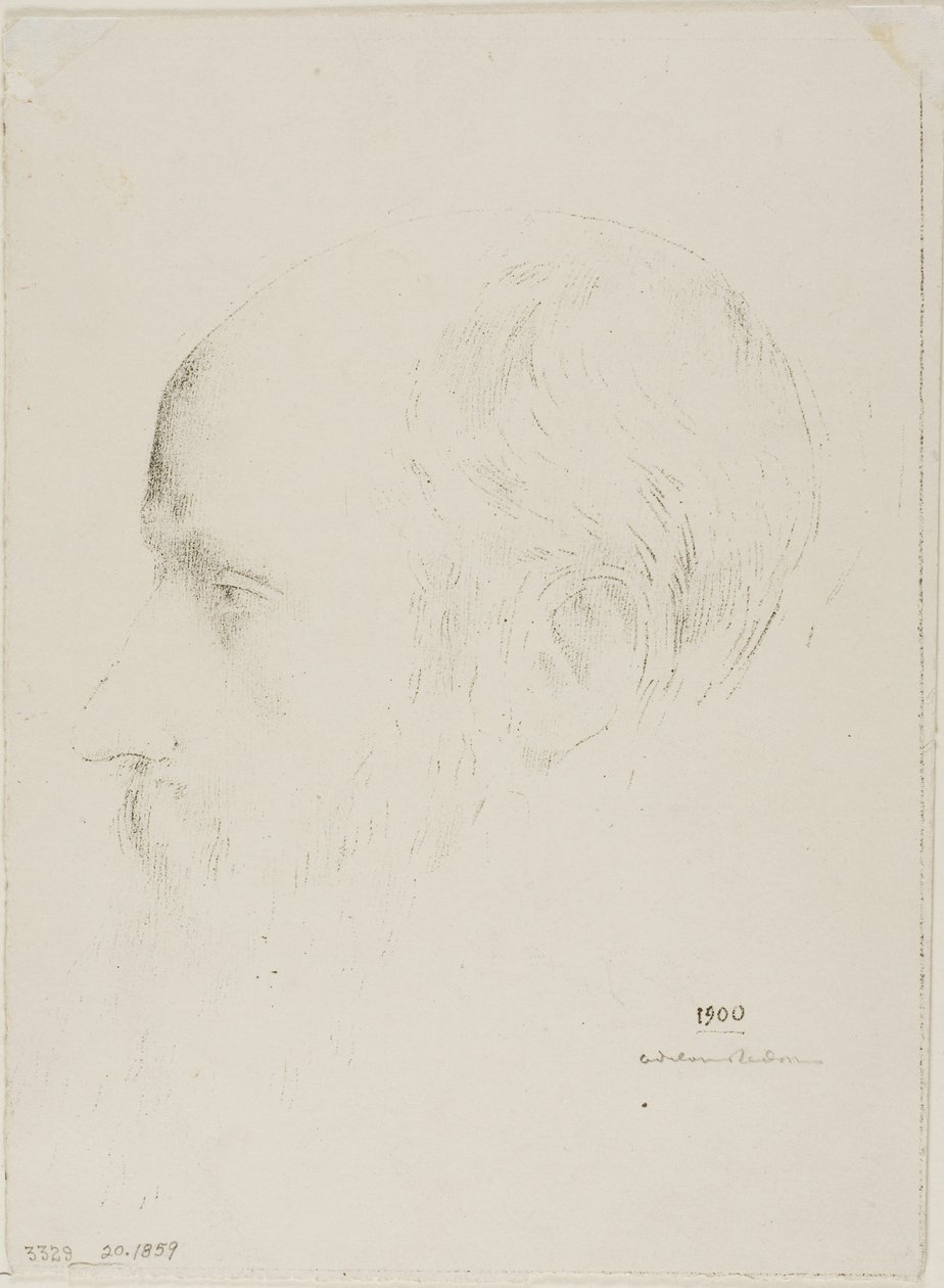Edouard Vuillard de Odilon Redon