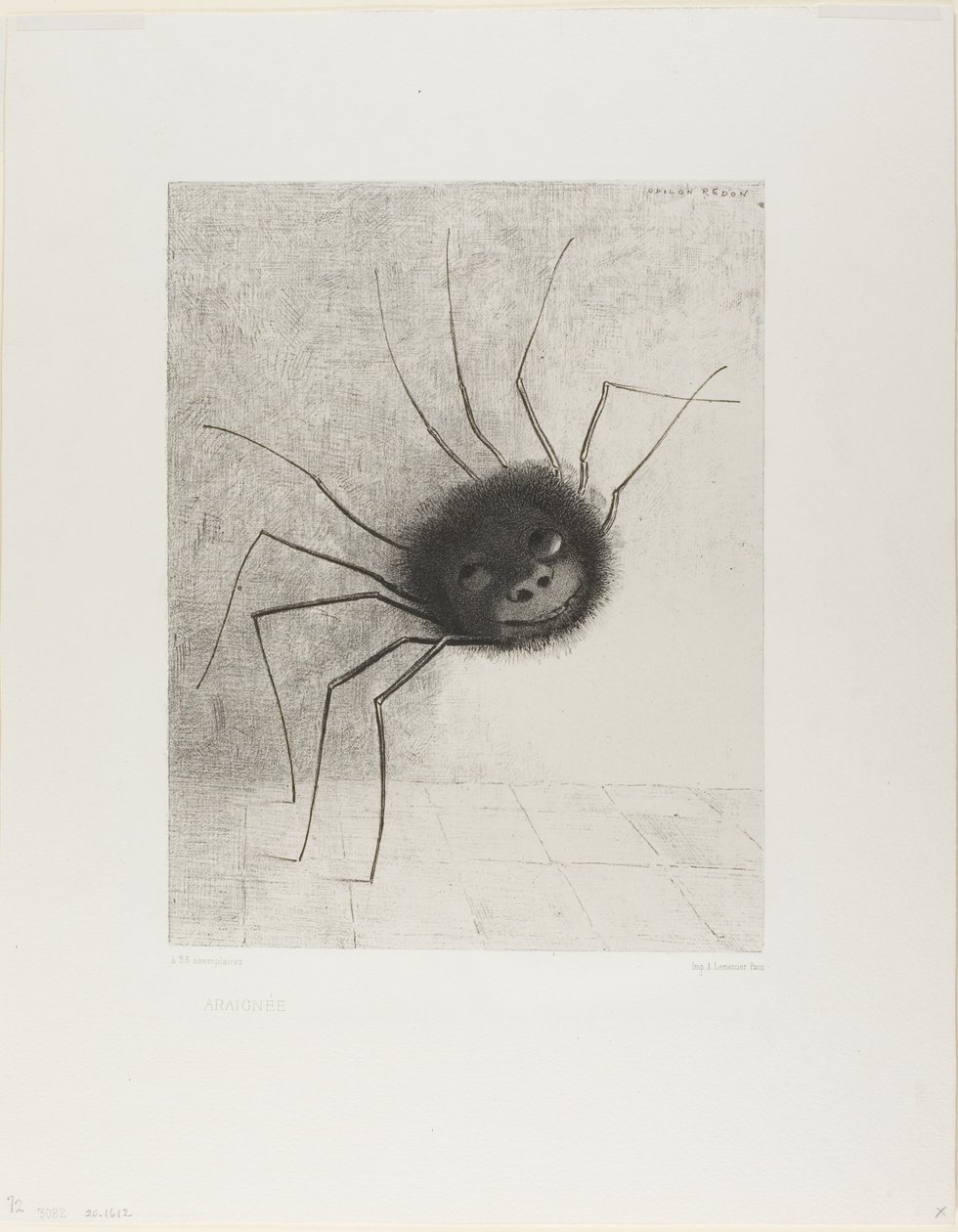 Araña de Odilon Redon