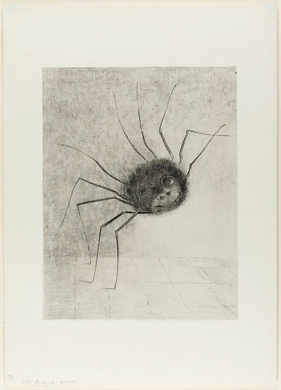 Araña de Odilon Redon