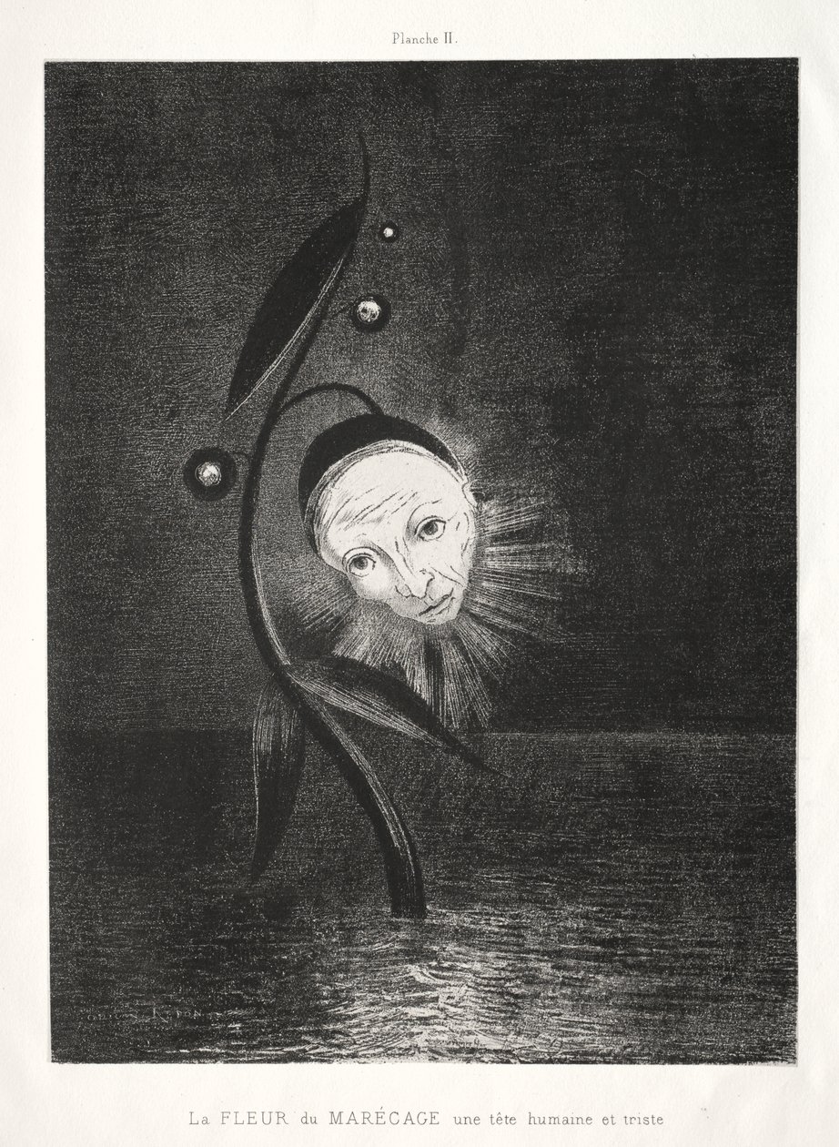 La flor del pantano, una cabeza humana triste de Odilon Redon