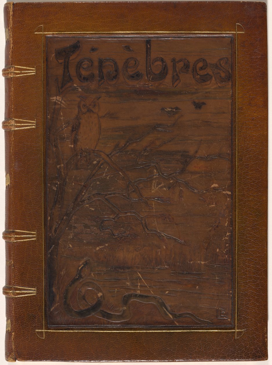 Tinieblas de Odilon Redon