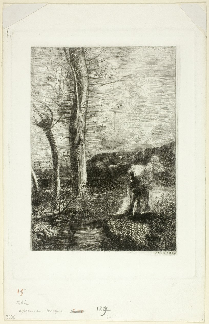 Tobías de Odilon Redon