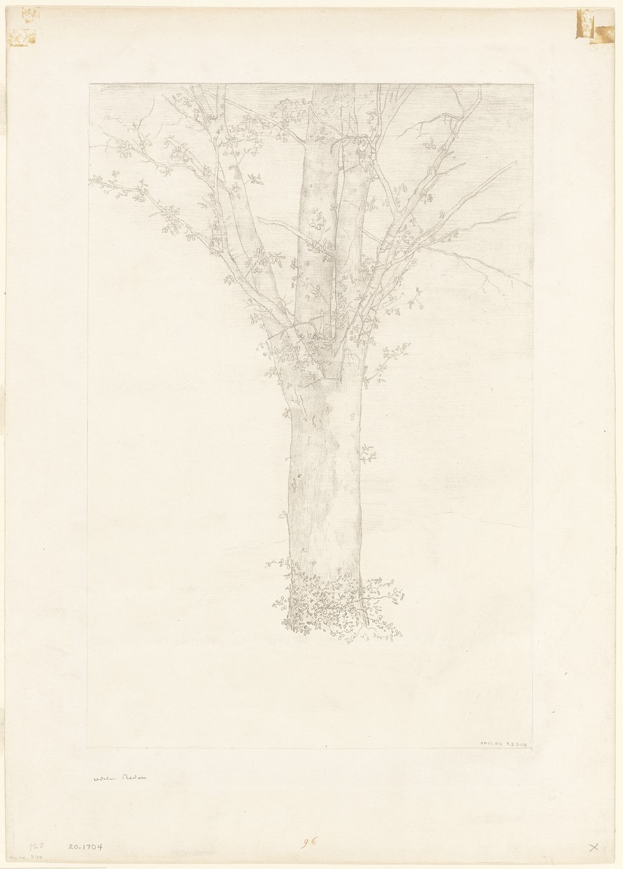 Árbol de Odilon Redon