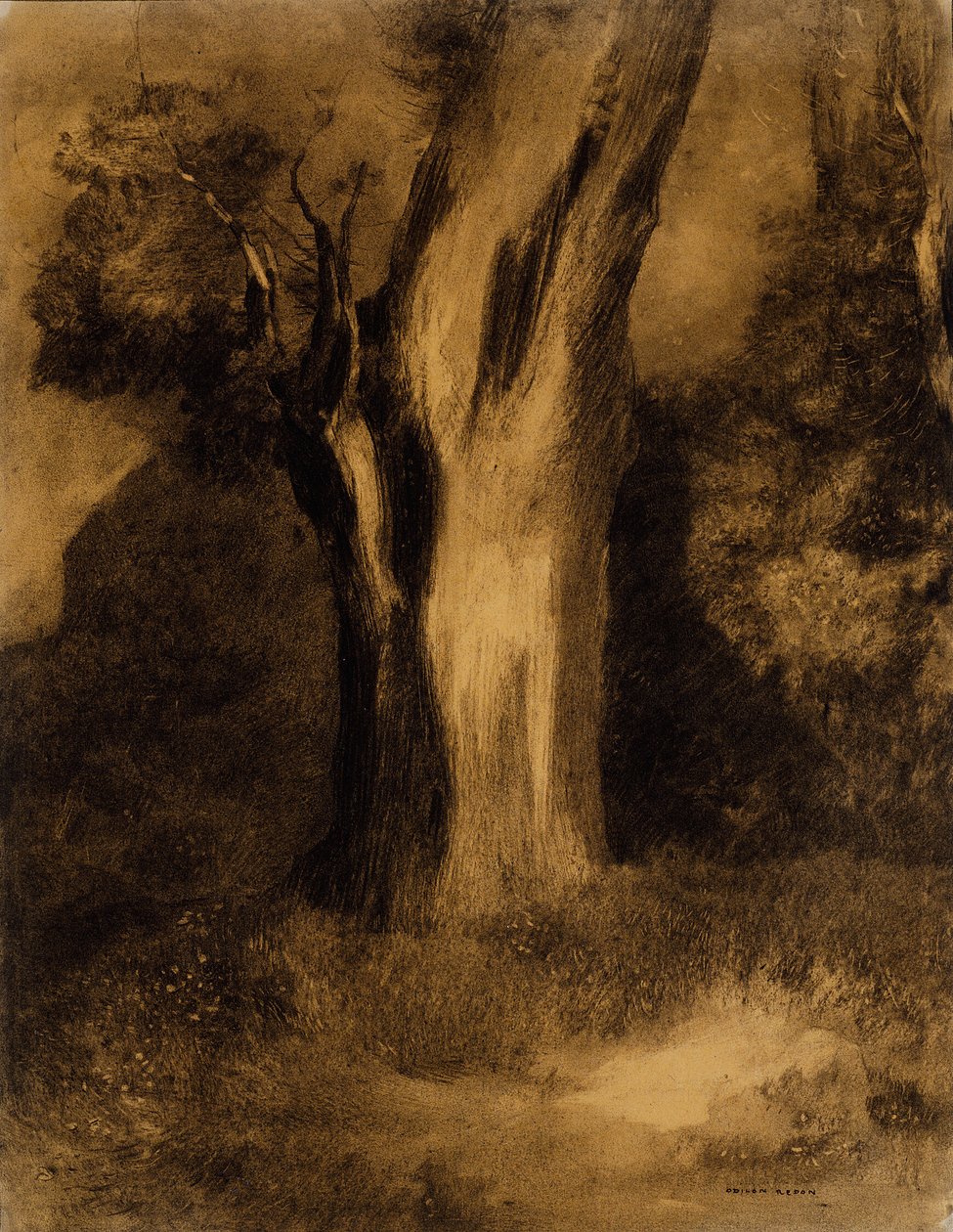 Árbol de Odilon Redon