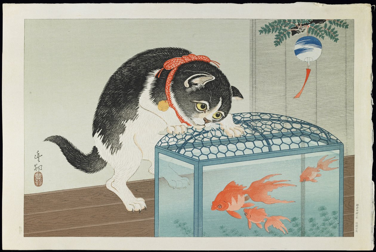 Gato y pez dorado, 1930s de Ohara Koson