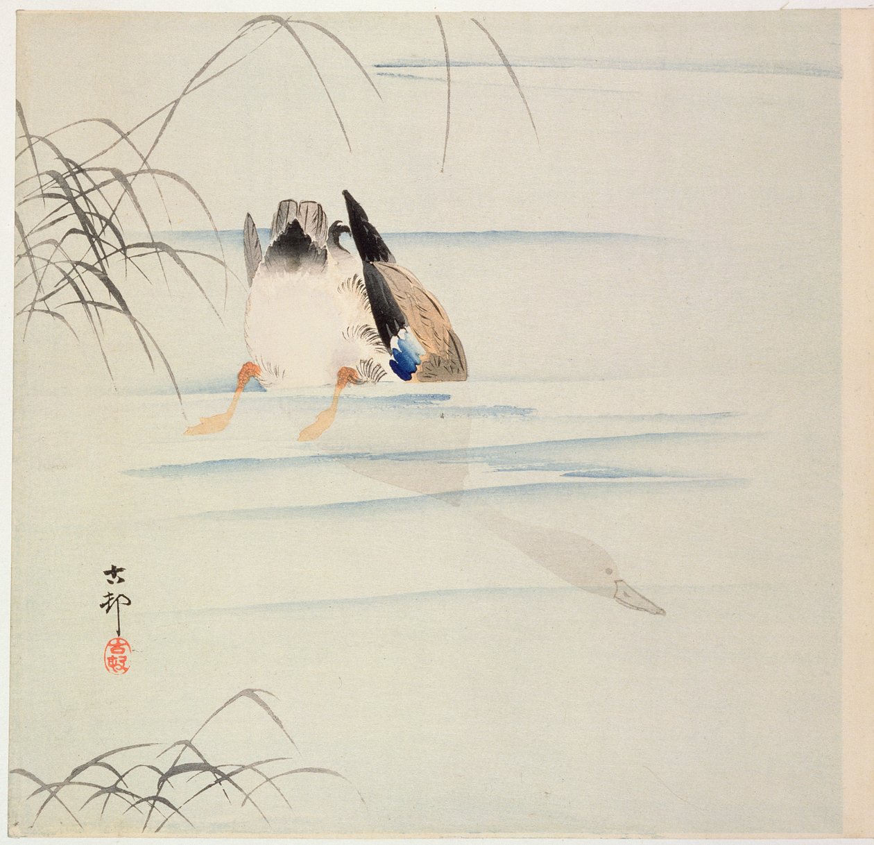Pato buceando, c. principios de 1900 de Ohara Koson