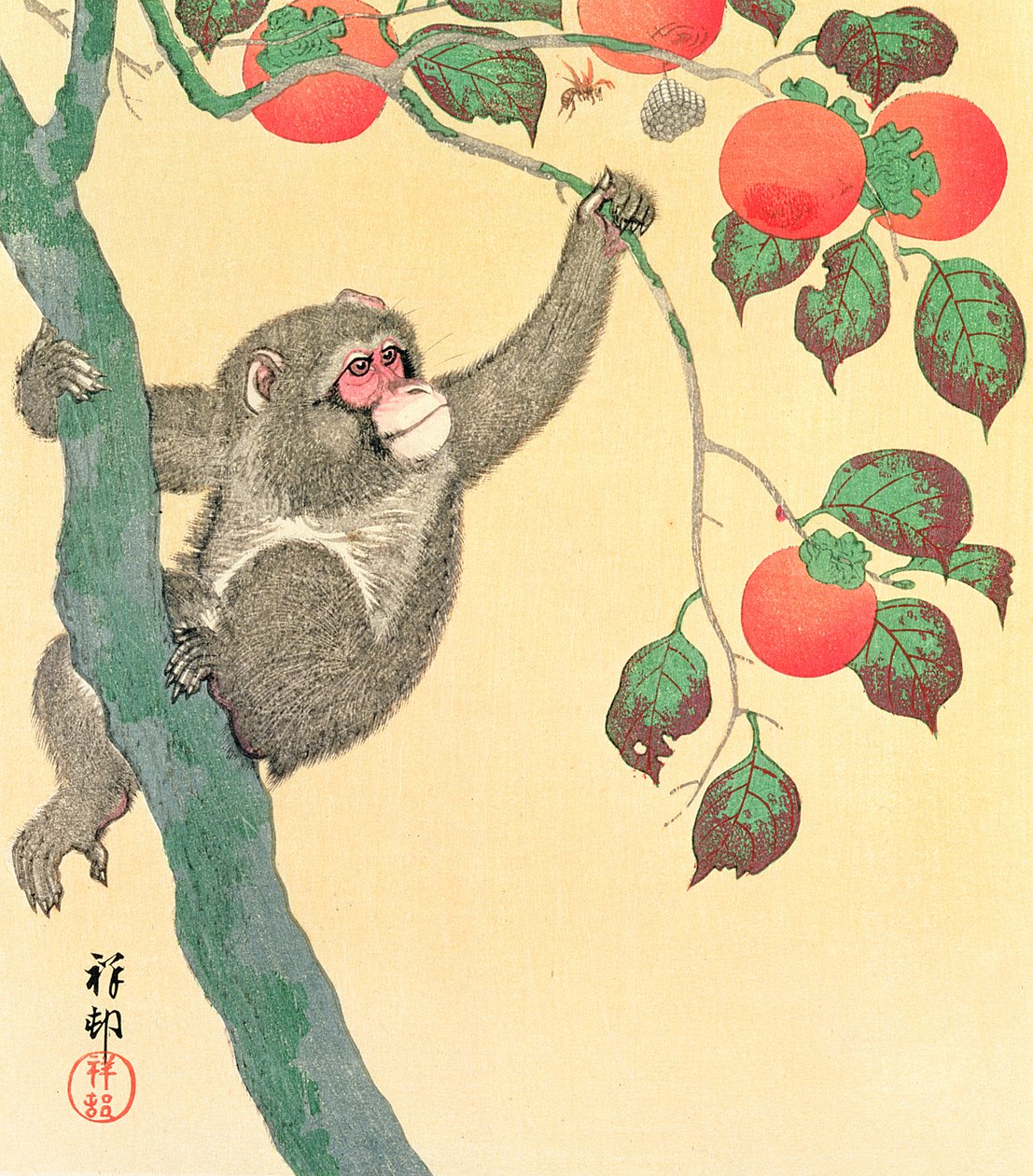 Mono en un árbol de caqui, 1935 de Ohara Koson