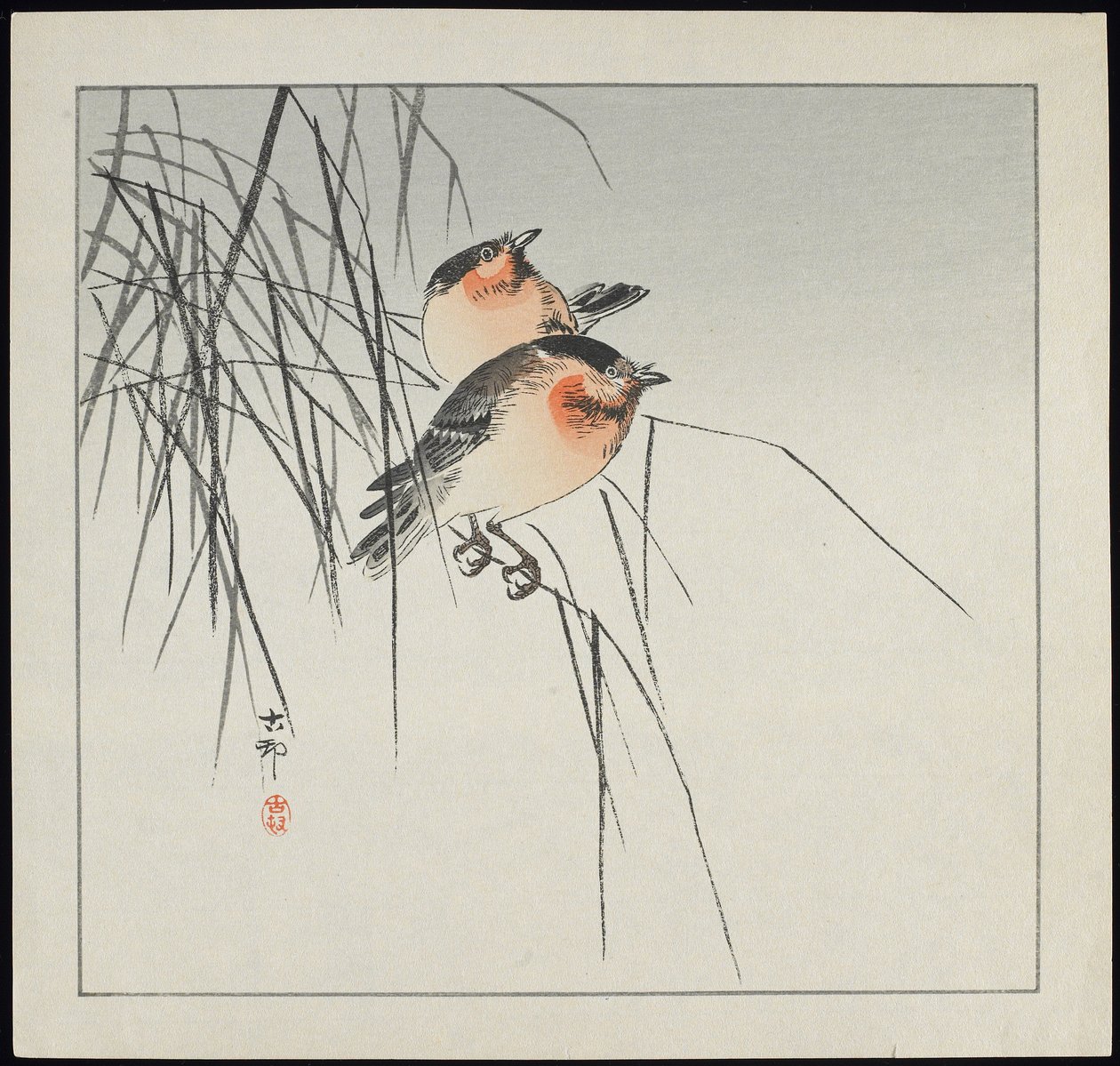 Dos pájaros en juncos, antes de 1912 de Ohara Koson