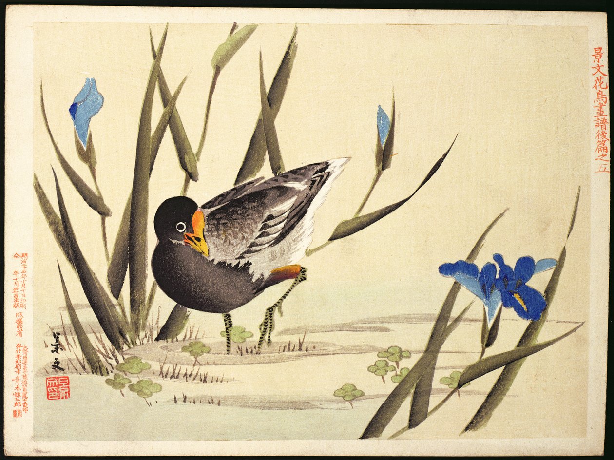 Ave zancuda entre juncos de Ohara Koson