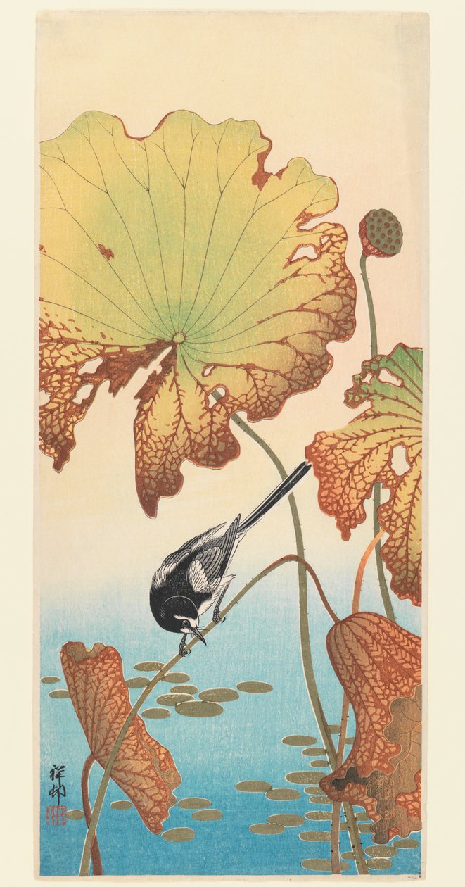 Lavandera y loto, c.1915 de Ohara Koson