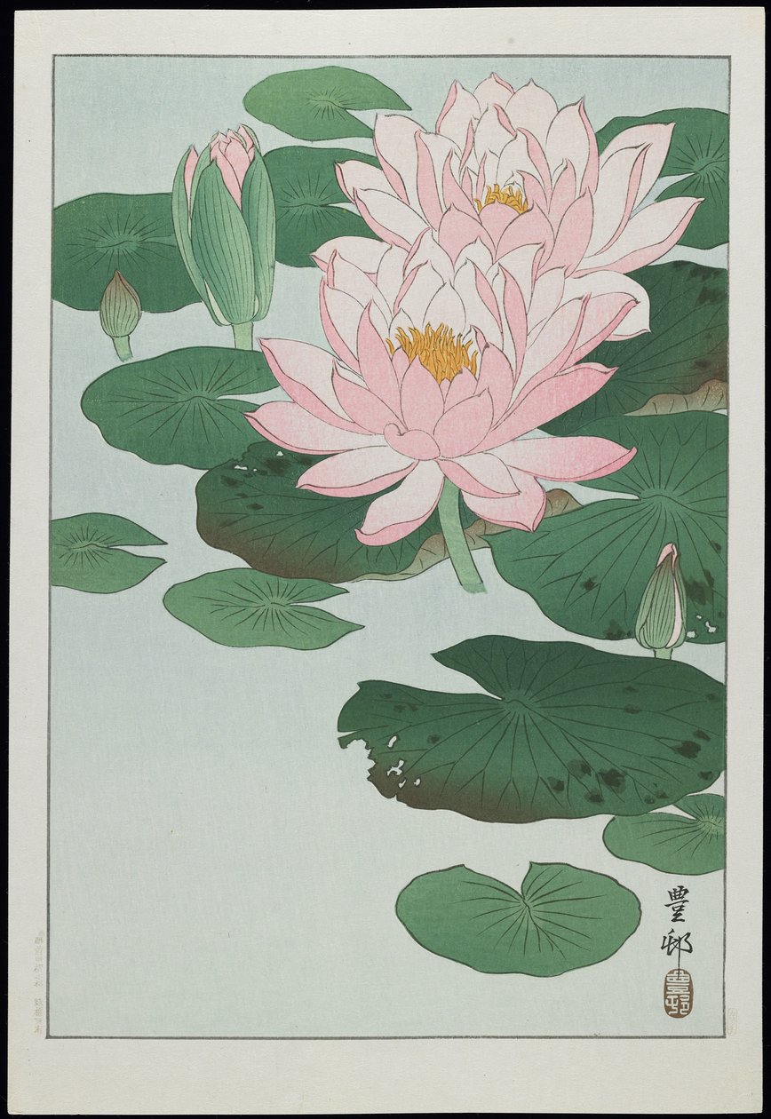 Nenúfar, años 1930 de Ohara Koson