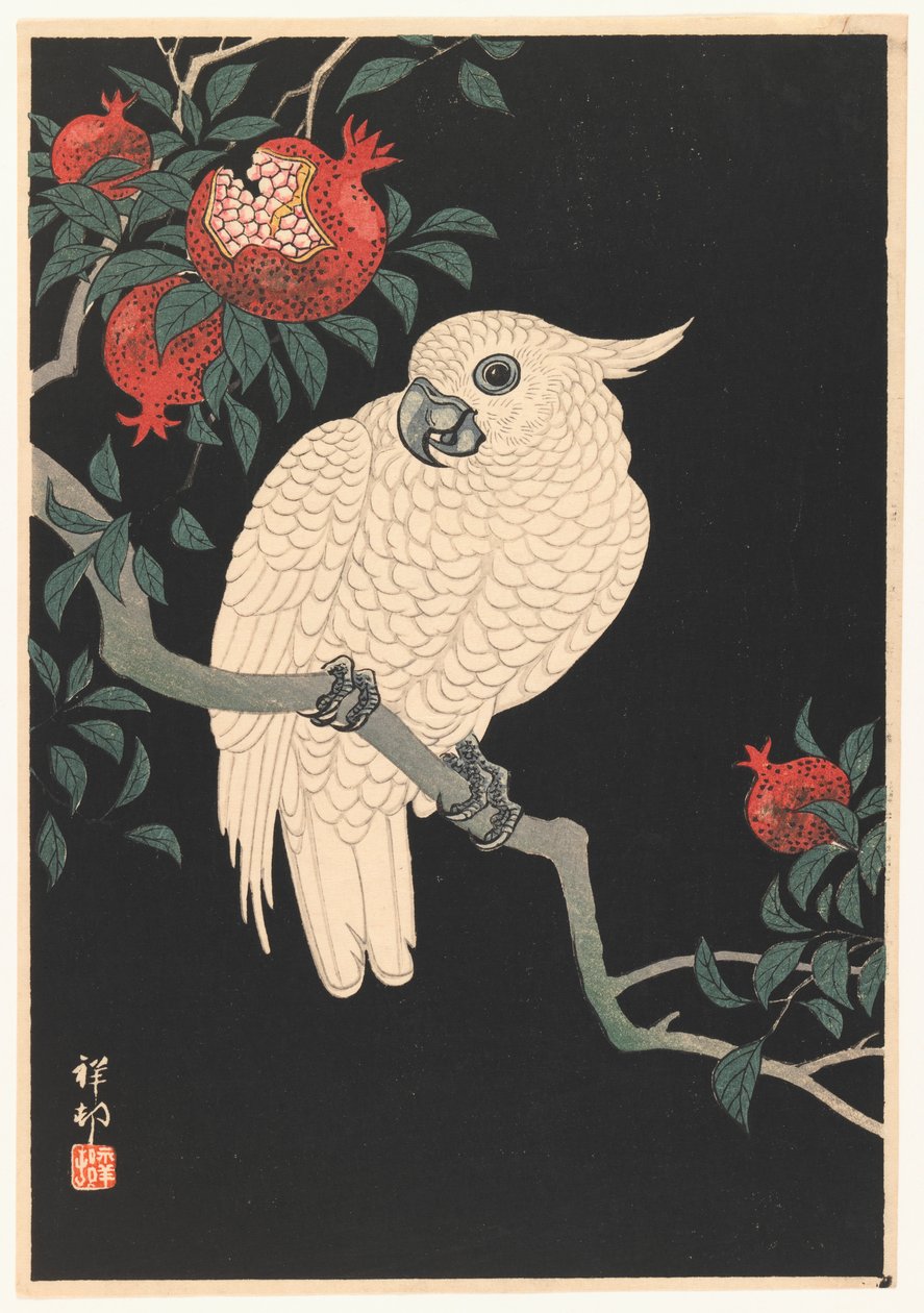 Loro blanco y granada, 1927-1989 de Ohara Koson