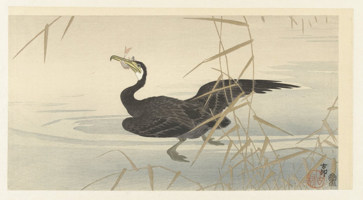 Cormorán con pescado de Ohara Koson