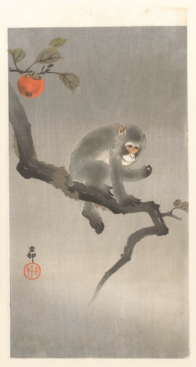 tu en kakiboom de Ohara Koson