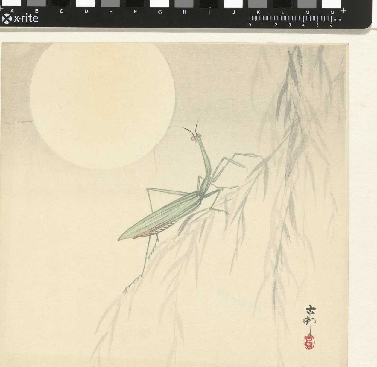 Mantis religiosa de Ohara Koson