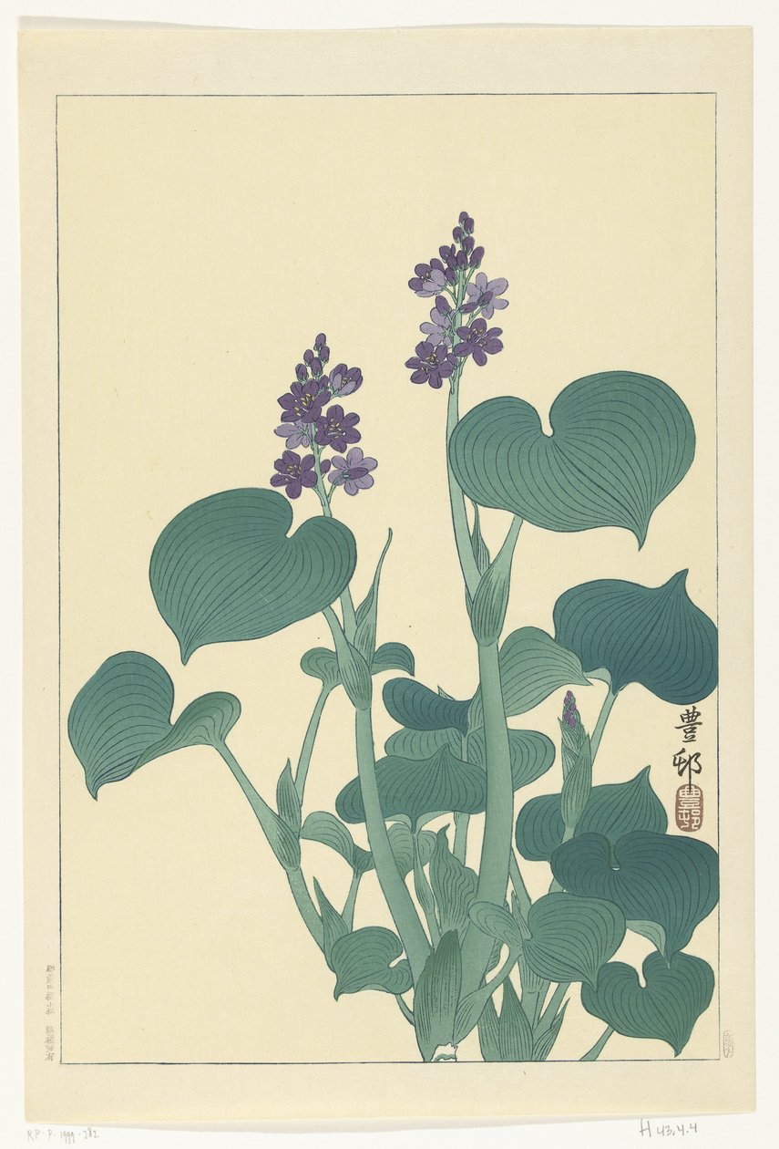 Hosta floreciente de Ohara Koson