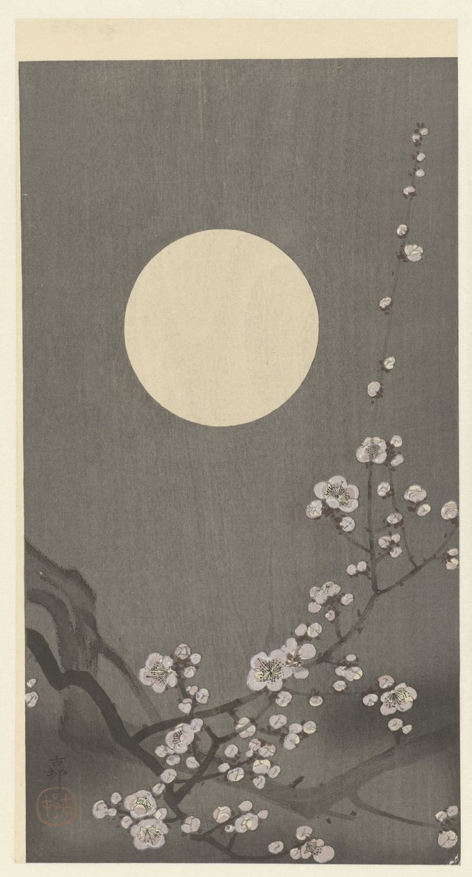 Flor de ciruelo floreciente en luna llena de Ohara Koson