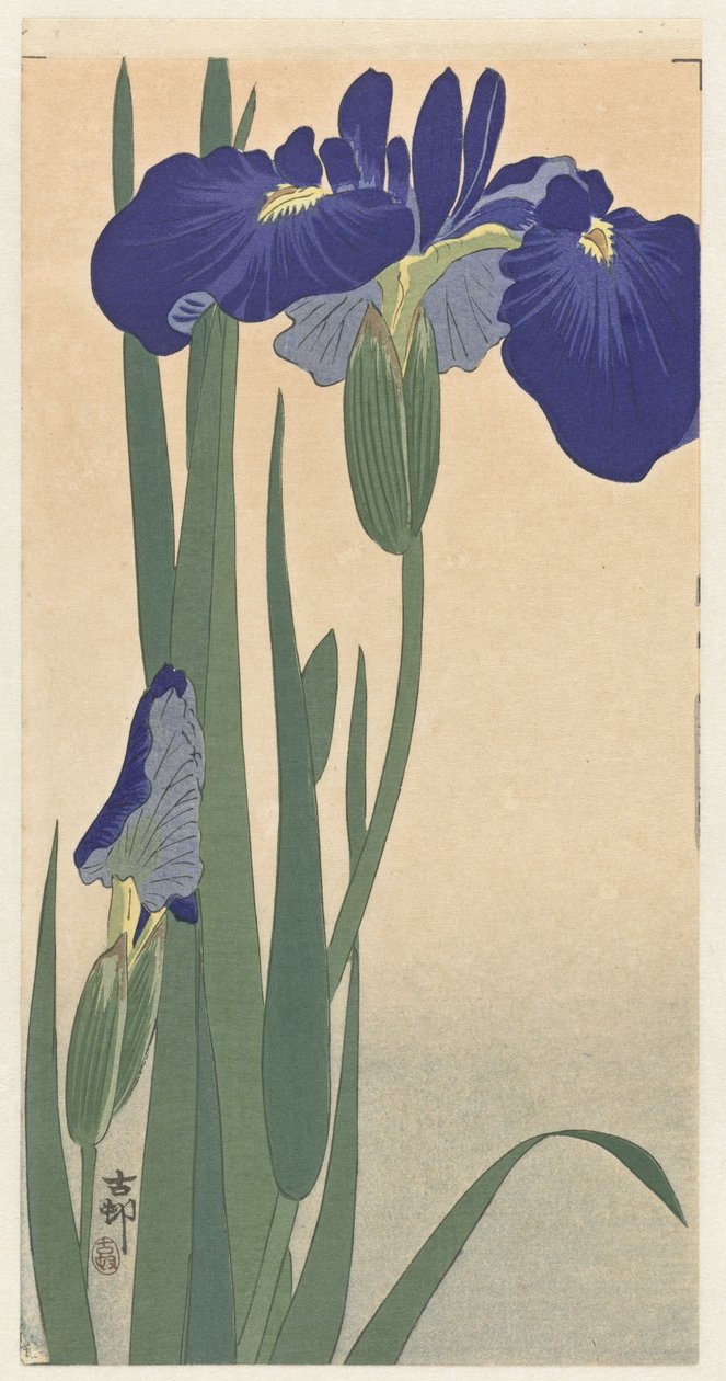 Iris azules, 1900-30 de Ohara Koson