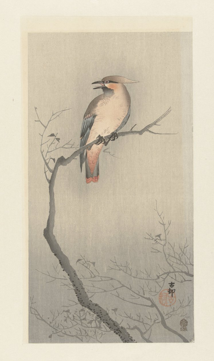 Avefría de Bohemia en una rama de Ohara Koson