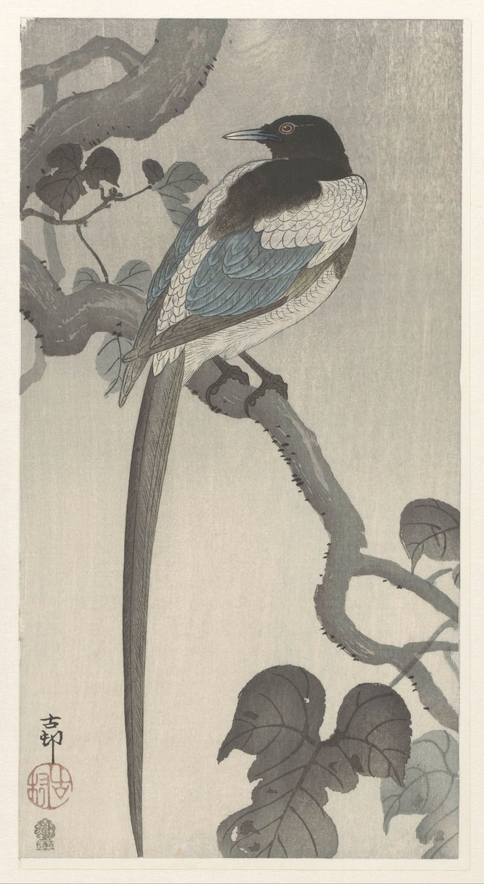 Urraca en rama de árbol de Ohara Koson